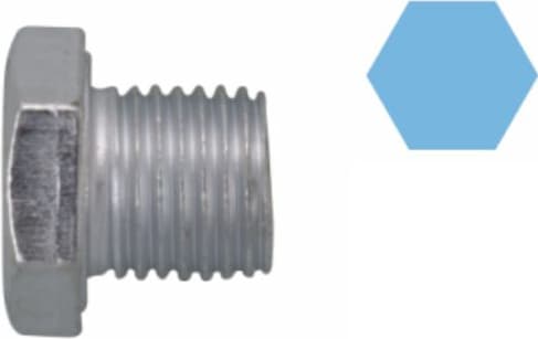 Screw Plug, oil sump 220117S