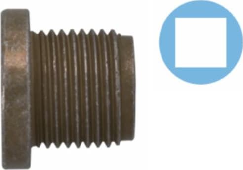 Screw Plug, oil sump 220102S
