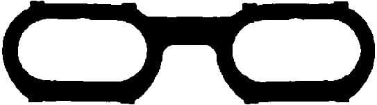 Gasket, intake manifold 450577H