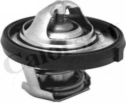 Thermostat, coolant TH7311.95J