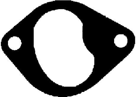 Gasket, intake manifold 450578H