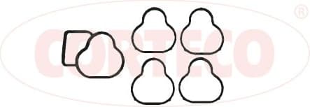 Gasket, intake manifold 450118H