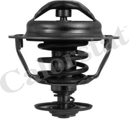 Thermostat TH5446.83J