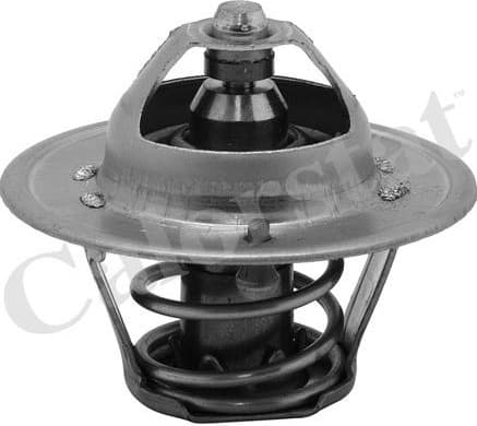 Thermostat, coolant TH6313.82J