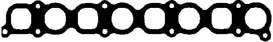 Gasket, intake manifold 450189P