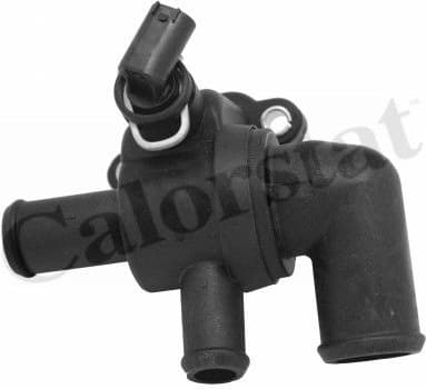 Thermostat, coolant TH6969.90J