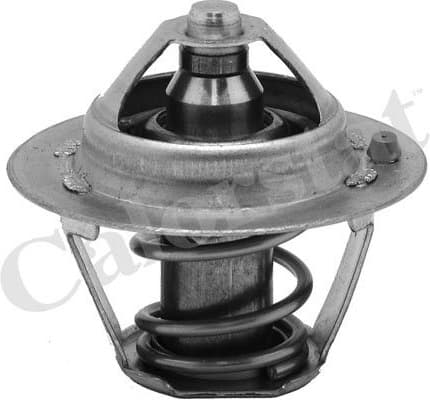 Thermostat TH6245.82J