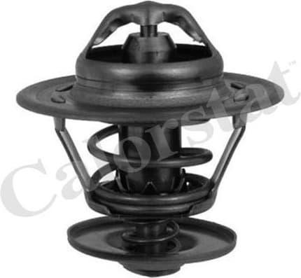 Thermostat, coolant TH6434.82J