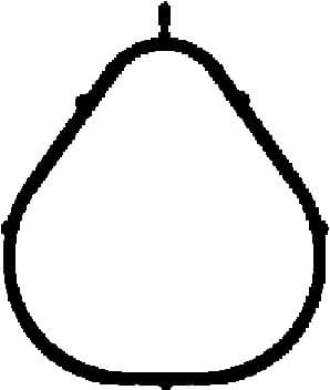 Gasket, intake manifold 450262P
