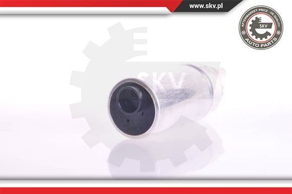Fuel Pump 02SKV261