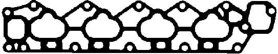 Gasket, intake manifold 450199P