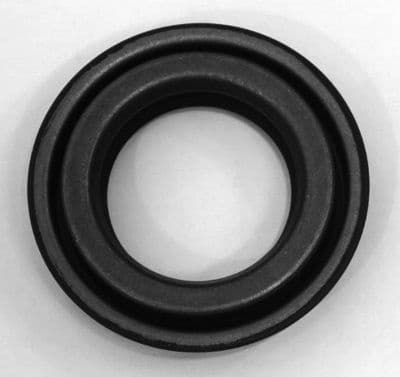 Shaft Seal, differential 19037088B