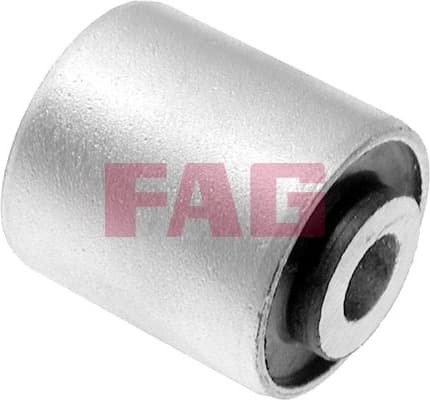 Mounting, control/trailing arm 829009810