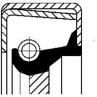 Shaft Seal, manual transmission 12011394B