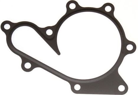 Gasket, water pump 899.520