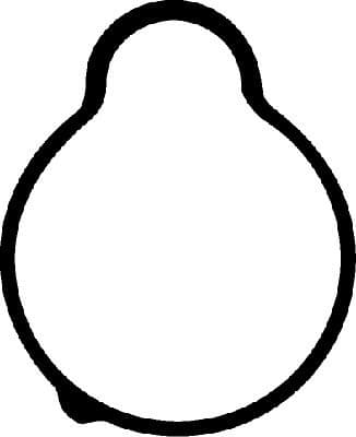 Gasket, intake manifold 026456H