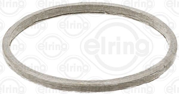 Gasket, exhaust pipe 738.820