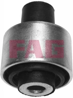 Mounting, control/trailing arm 829001110