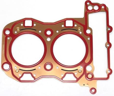 Gasket, cylinder head 308.062
