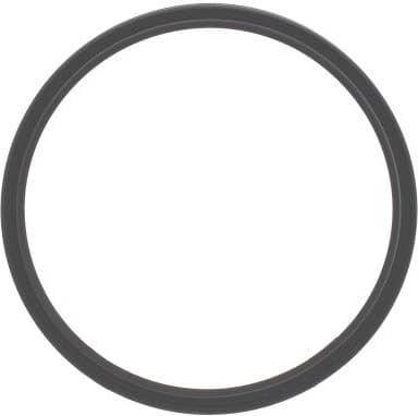 Shaft Seal, differential 12014190B