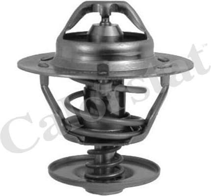 Thermostat, coolant TH6293.82J