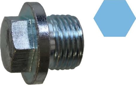 Screw Plug, oil sump 220136S