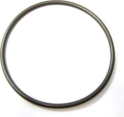 Seal Ring 893.189