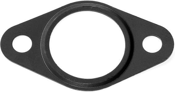 Gasket, EGR valve 364.680