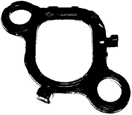 Gasket intake manifold 016.961