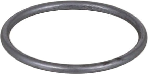 Seal Ring 339.480