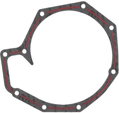Gasket, water pump 493.380