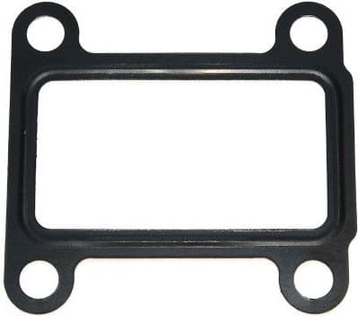 Gasket EGR valve 454.030