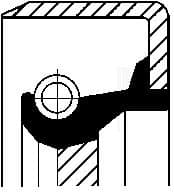 Shaft Seal, manual transmission 12011307B