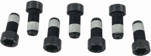 Screw Set, flywheel 1874 000 043