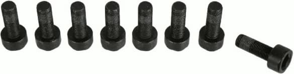 Screw Set, flywheel 1874 000 066