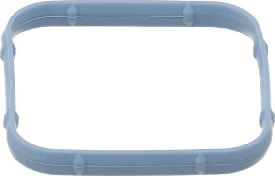 Gasket, intake manifold 907.570