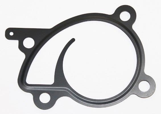 Gasket, water pump 449.440