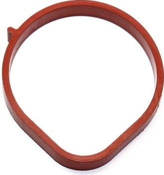 Gasket, intake manifold 445.220