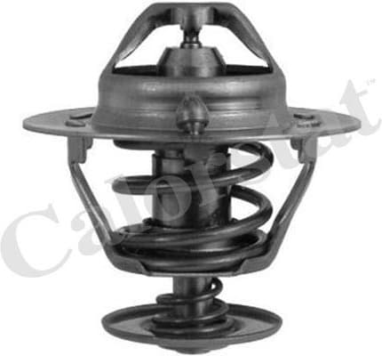 Thermostat, coolant TH6294.88J