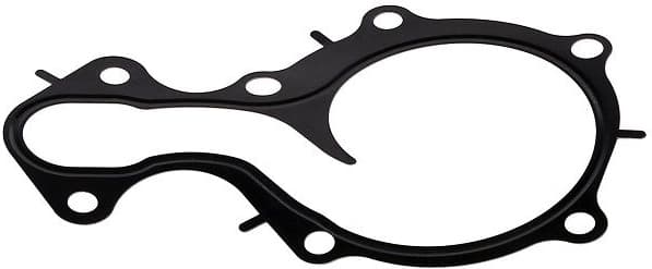 Gasket, water pump 650.190