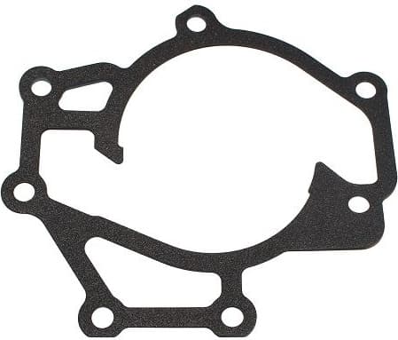 Gasket, water pump 225.200