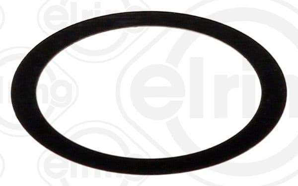 Gasket, EGR valve 598.660