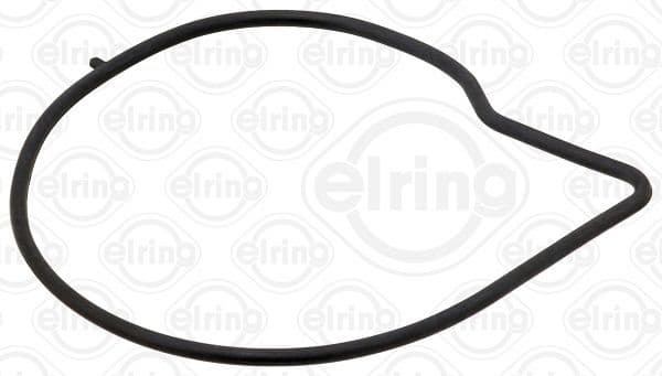 Gasket, water pump 527.420