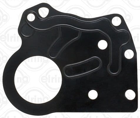 Gasket, timing case 876.500