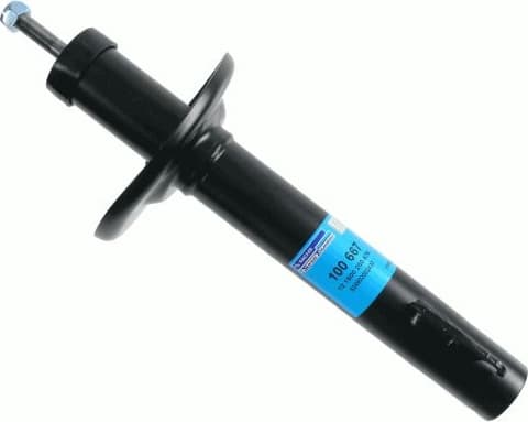 Shock Absorber 100 667