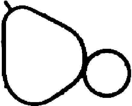 Gasket, intake manifold 450263P