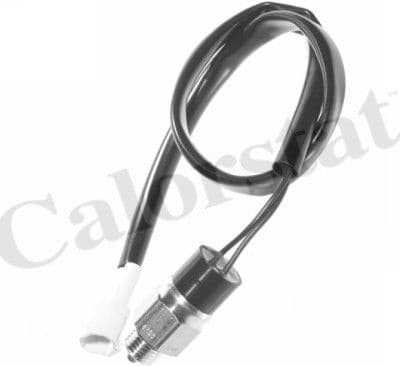 Switch, reverse light RS5556