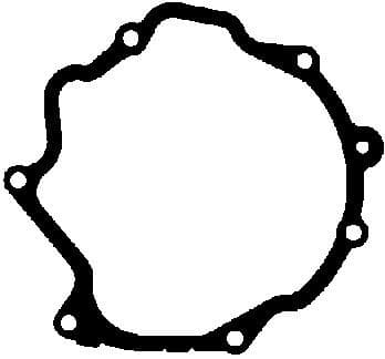 Gasket vacuum pump 162.353