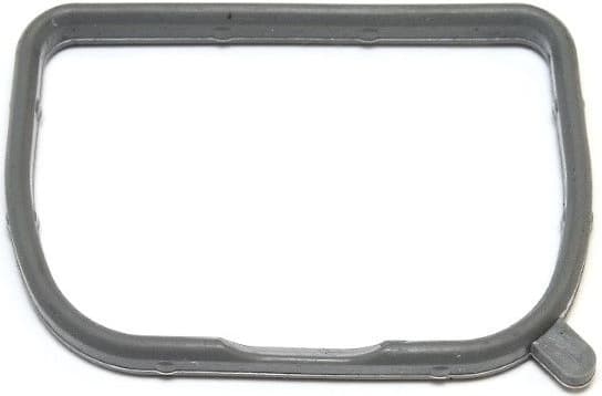 Gasket, intake manifold 586.130