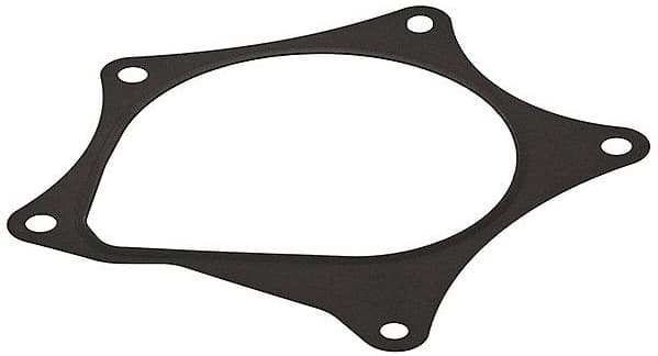 Gasket, water pump 876.160